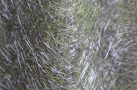 Churchwood fibreglass roof work